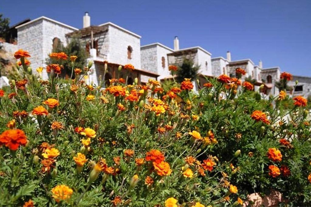 Lefkoritis Resort Askifou Sfakia Petrés Kültér fotó