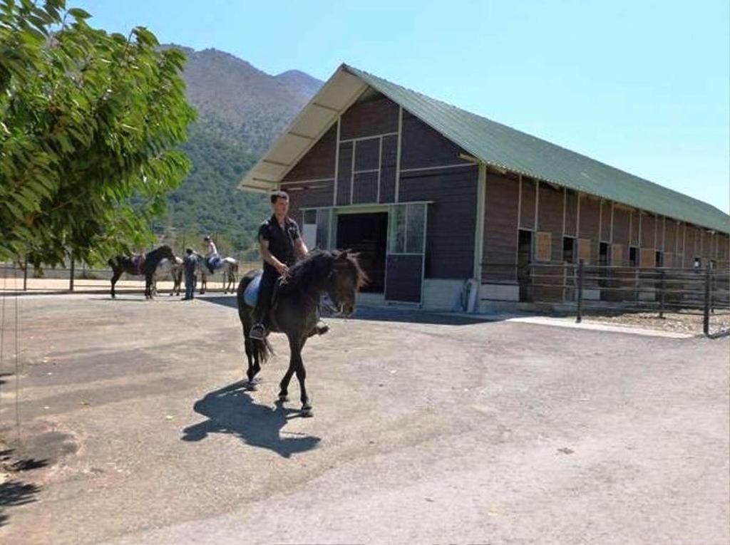 Lefkoritis Resort Askifou Sfakia Petrés Kültér fotó