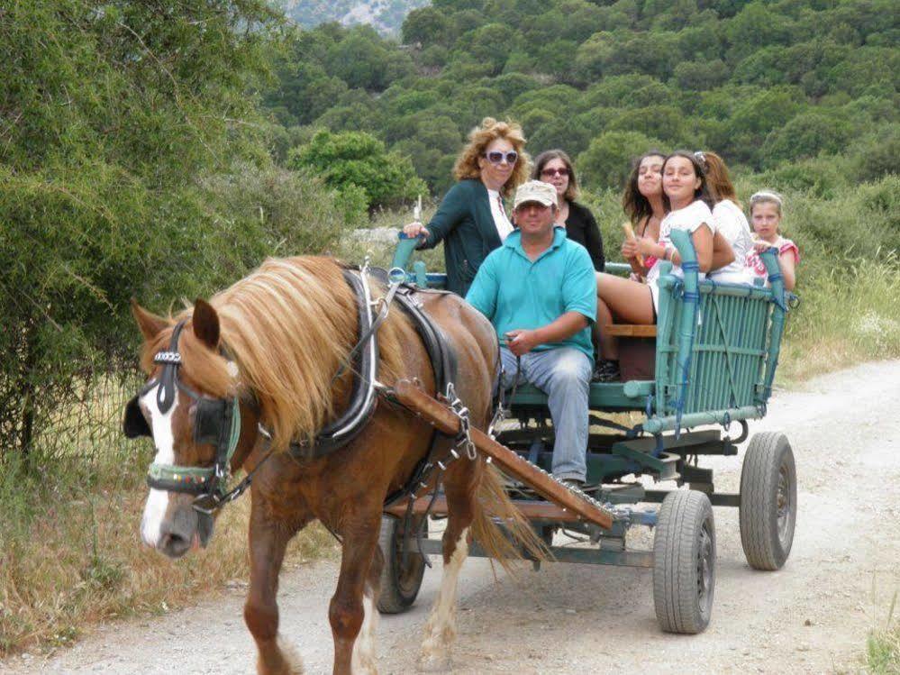 Lefkoritis Resort Askifou Sfakia Petrés Kültér fotó